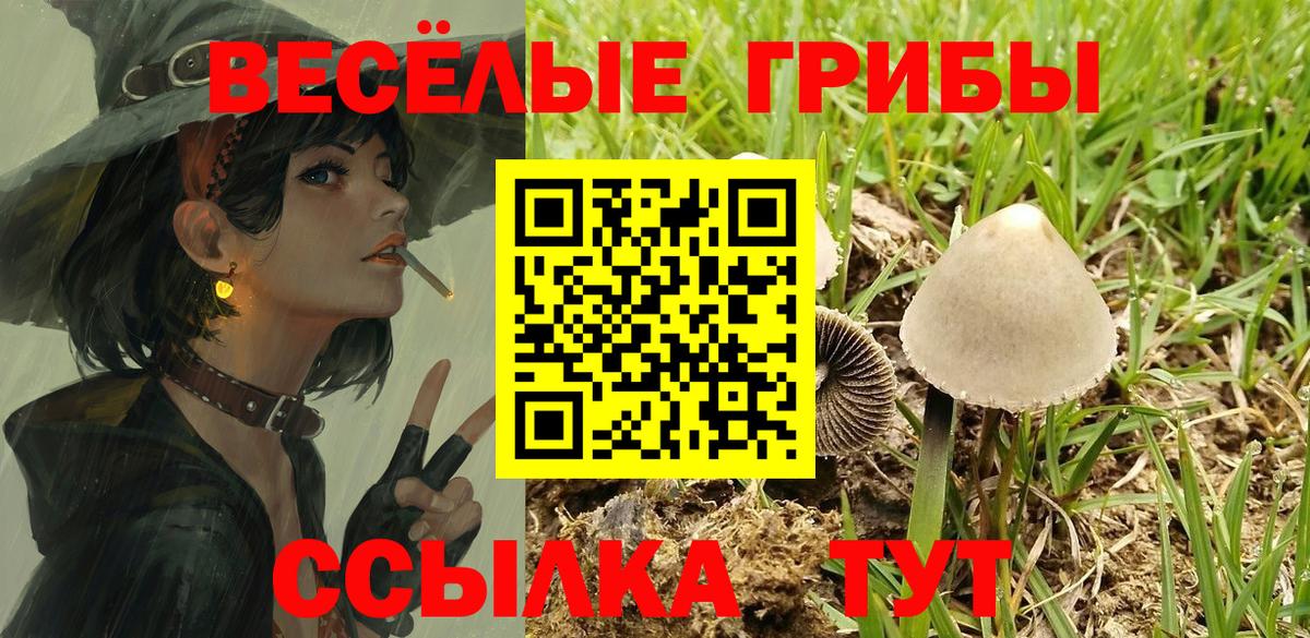 Псилоцибиновые грибы прущие грибы  Вход с VPN  Пыть-Ях 